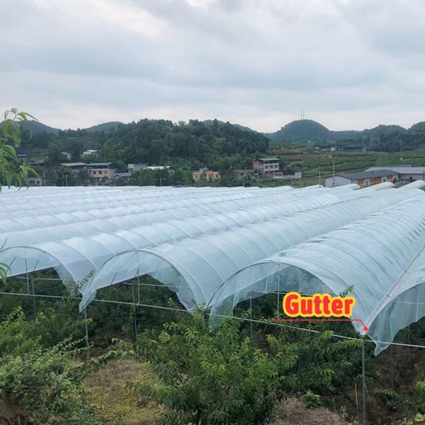 PE Film Cover Rain Shelter Greenhouse with Hot Galvanized Steel Frame for Easy Assembly and Plants Cultivation