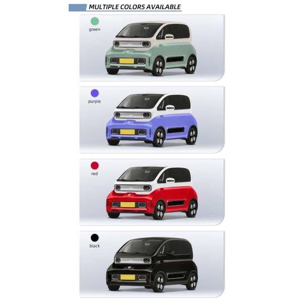 E100 E300 Ev Electric Car