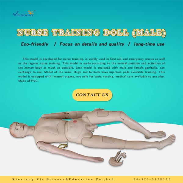Nurse Training Doll Male Full Body Cpr Manikin For Medical School Bilological Class