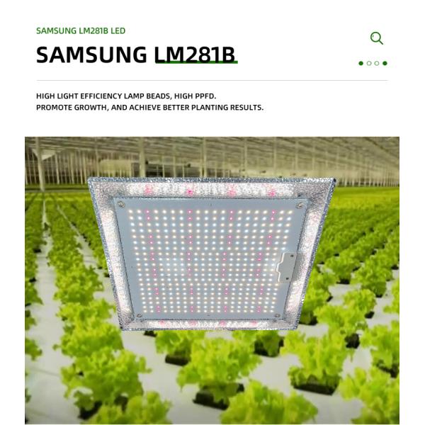 La luz de la tabla cuántica de invernadero para crecer para la tienda de cultivo