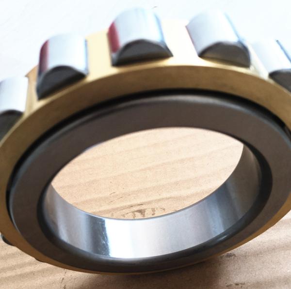 RN219M Single Row Cylindrical Roller Bearing Size 95*151.5*32mm
