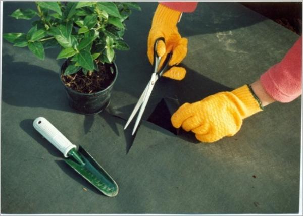 Tissu UV de lutte contre les mauvaises herbes de jardin de protection, couverture non tissée d'agriculture