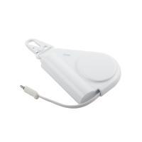 Micro USB ou type C Portable Power Bank pour les téléphones intelligents
