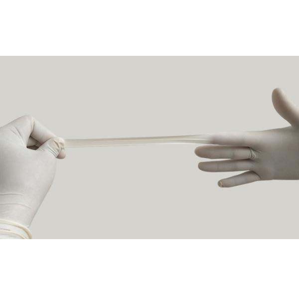 Перчатки медицинского осмотра латекса устранимые 24cm пудрят свободно