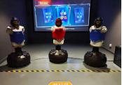 Interactive Boxing Game Simulator