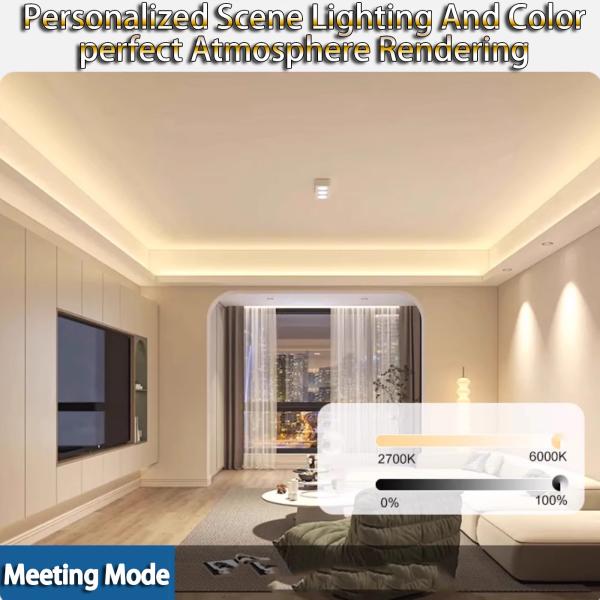 Гибкая световая полоса 24В / 36В Внешнее водонепроницаемое украшение Атмосфера Яркое освещение