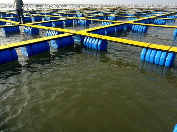 Square Pontoon Floating Fish Cage Diameter 10m To 60m Customized For Aquaculture Fish Farming