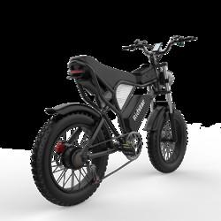 48V 1000W 20Ah 20 X4.0 Fat Tire Electric Mountain Bike With Removable Battery