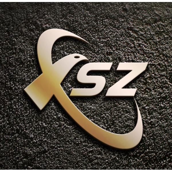 Xinshizhan Precision Co., Ltd.