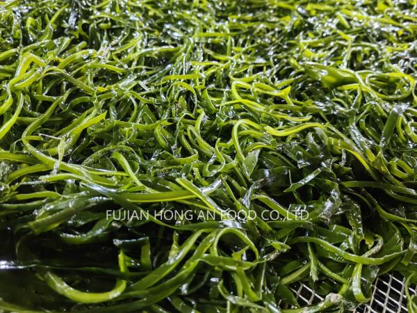 Germes de Kelp Kombu Coreano Seco Vegetais do Mar Revestidos com Sabor Umami HACCP aprovado