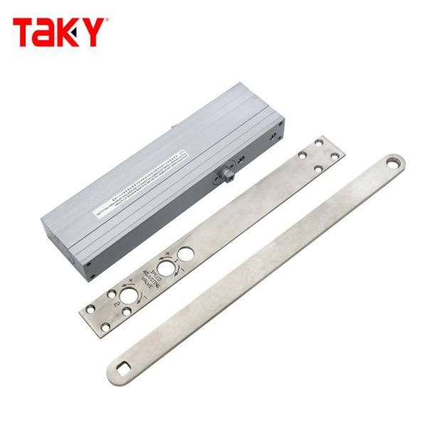 Fire Door Hidden Hydraulic Door Closer Concealed Door Closer