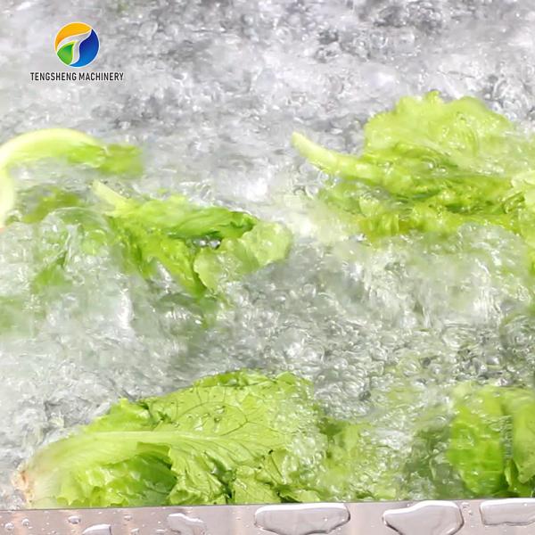 1000KG/H Fruit And Vegetable Processing Line Bubble Washing And Vibrating Drying