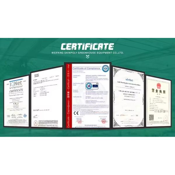 Strawberry Growth Plastic Film Greenhouse With Hydroponic Growing System