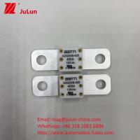 300A 125VDC Fuseau de batterie de voiture ASTM personnalisable Installation facile
