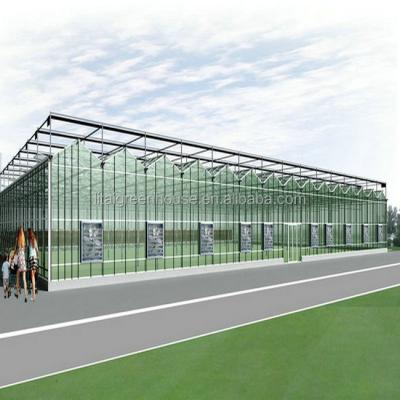 Multi-Span Agricultural Greenhouses Modern Tech Glass Greenhouse for Agriculture