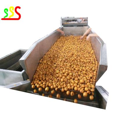 Linha de produção seca 200kg do fruto de paixão e do fruto da manga pela hora