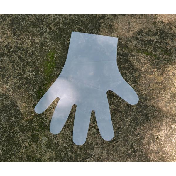 Перчатки кухни Tpe 100pcs/Bag XL пластиковые очищая устранимые