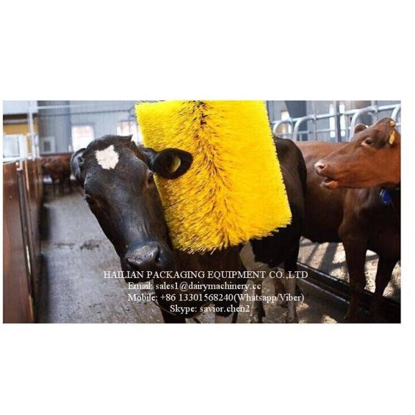 vaca de nylon do corpo 100W que risca a escova, tipo de suspensão amarelo escova do gado
