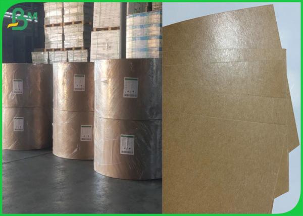 Oilproof 250g + 10g PE Coated Food Grade Brown Kraft Paper In Roll