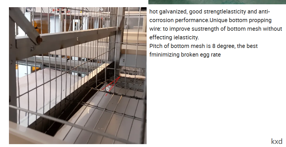 Hot-dip galvanized H-type layer cage with high egg laying rate and good ventilation for large scale poultry breeding