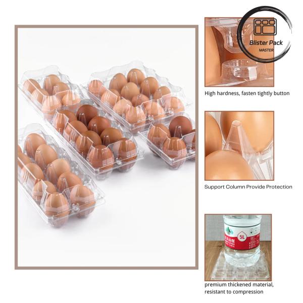 3x4 Clear Plastic Egg Containers Customized Hot Selling Plastic Egg Cartons