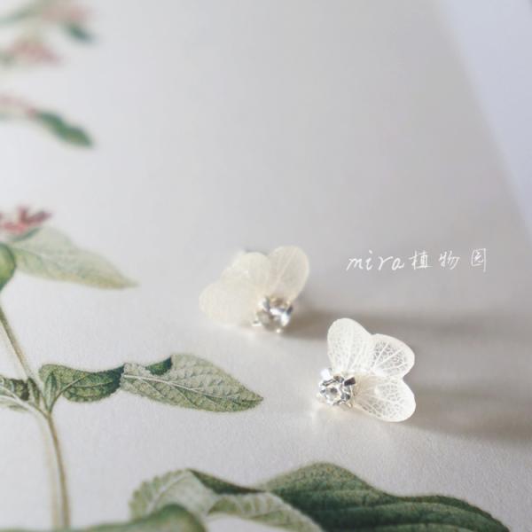 Birthday Gift Flying Butterfly Dry Hydrangea Rhinestone Real Flower Women Fashion Earrings