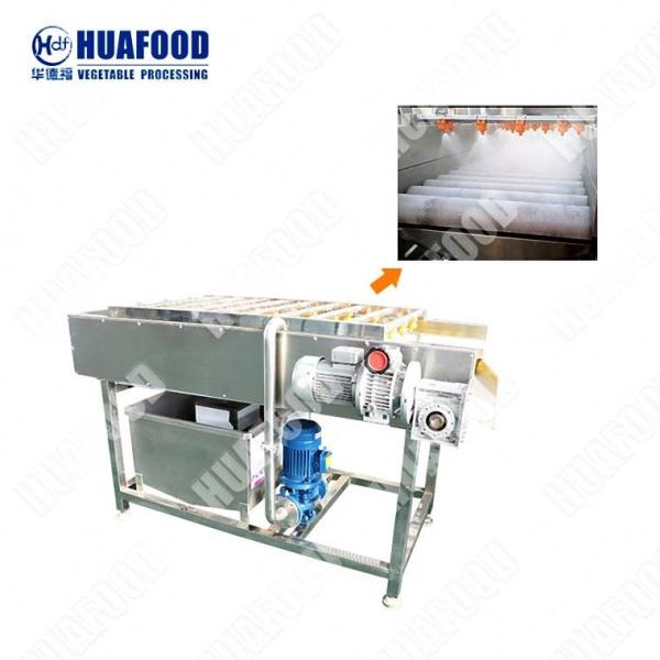 Fresh Vegetable Fruits Cleaning Machine Small Home Use Food Dehydrator Taro Cleaning Machine