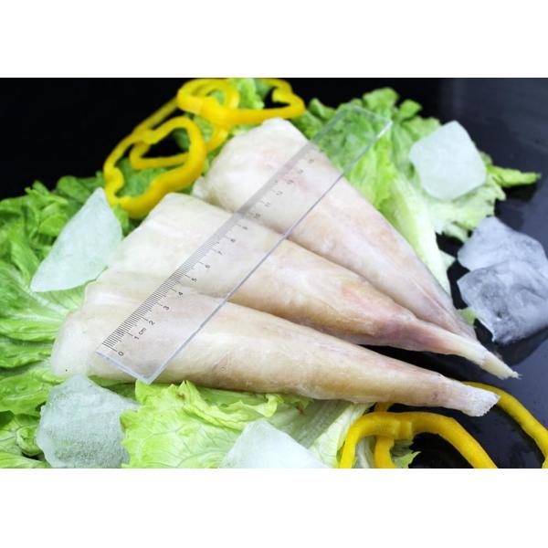 6-002 Frozen Monkfish Tail Natural Seafood Chemical Lophius Litulon
