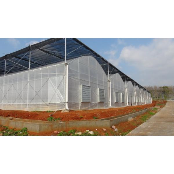 Arched Roof Multi Span Greenhouse Structure For Growing Fruits / Flowers / Vegetables