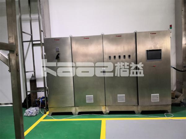Electric Garlic Slices Drying Machine Belt Conveyor Dehydrator Garlic Drying Equipment Garlic Ginger Dryer