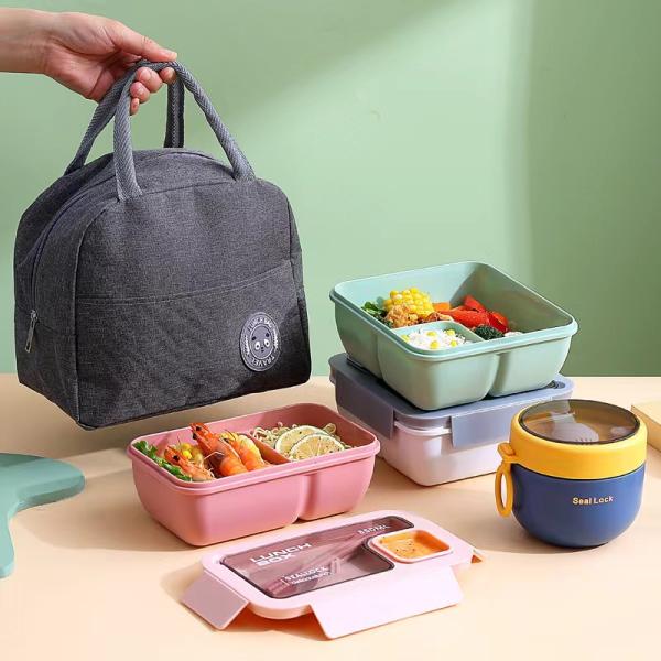 Reusable Portable Plastic Bento Lunch Box for All Applicable People at School Style