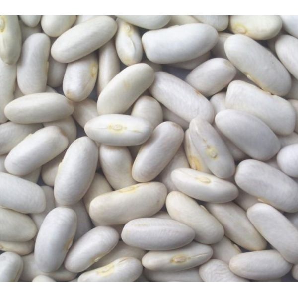 High-precision AI Color Sorter For White Kidney Beans, Featuring Multispectral Vision And 4D Recognition To Remove Defects And Foreign Materials For Export-grade Purity.