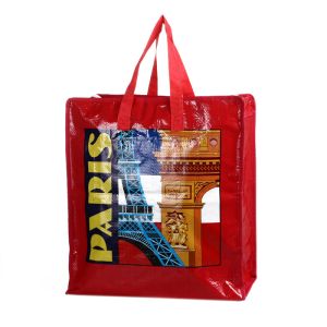 PP Woven Shopping Bag