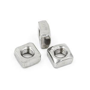 Metric Grade 6.8/8.8/10.9/12.9 Stainless Steel 304 Square Nut with M2.5 M3 M4 M5