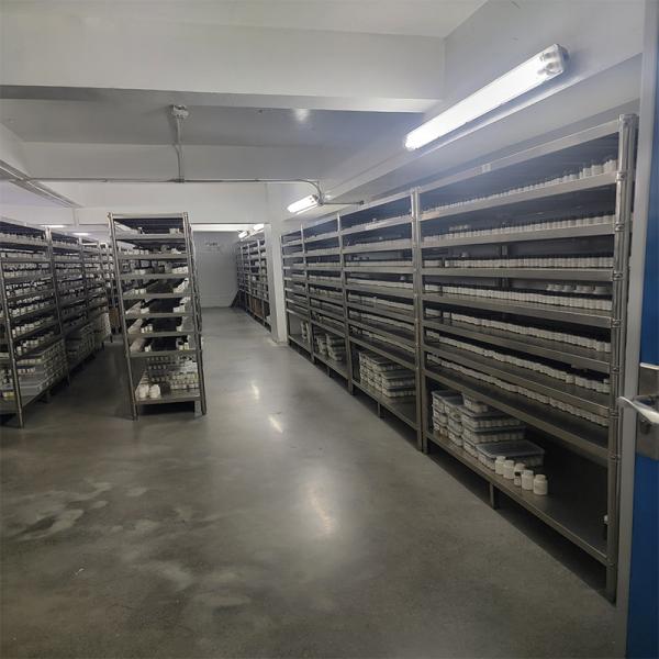 Efecto calmante Aire fresco Fragancias Cereza orgánica Fragancia Aceite esencial