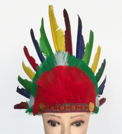 Indian headdress, ground anfield dress party outfit, feather headdress, chief hat.