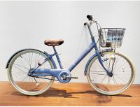 Single Speed Steel City Bikes Mulheres 22/24 polegadas Retro Bike OEM