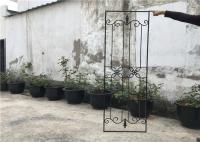 Porte du fer 15.5*39.37 avec le verre, portes en acier carrées avec du fer travaillé et verre