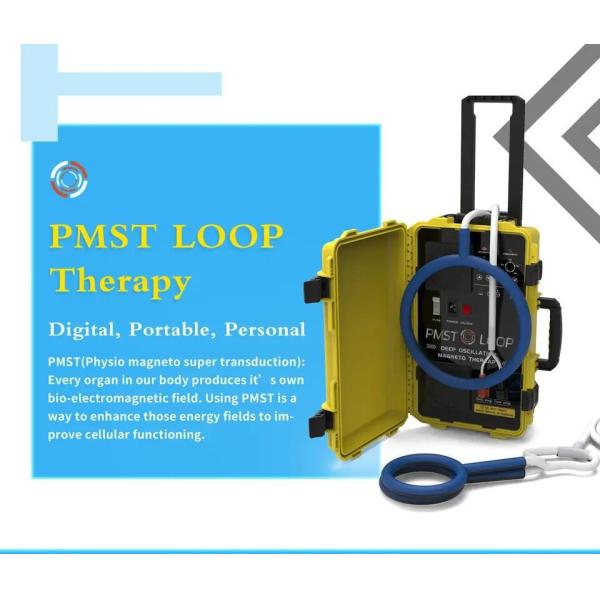 PEMF Пулсирующая электромагнитная терапия PMST Loop Успокоение боли и реабилитация