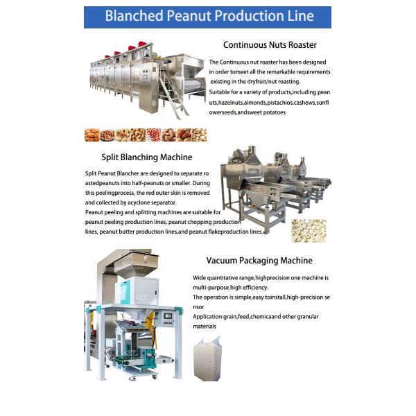 Fully Automatic 500kg/h-3000kg/h Peanut Slitting and Blanching Machine Air Peeling Machine for Nut Processing Plants