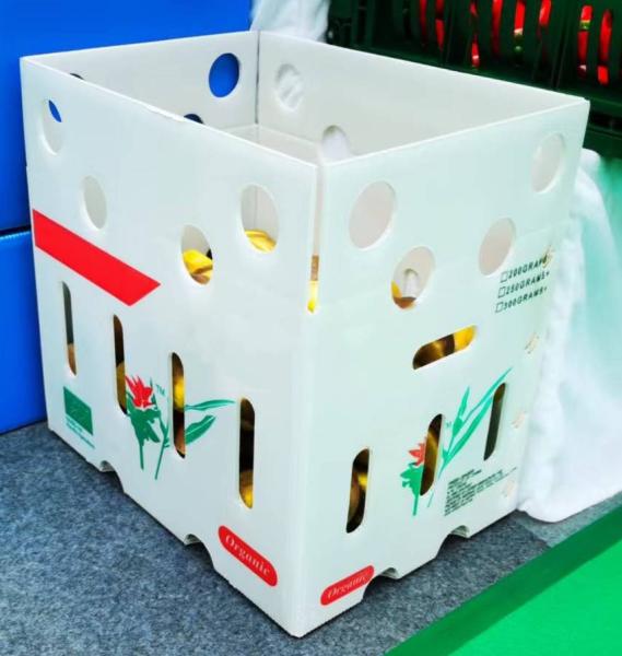 Reusable Vegetable Packaging Boxes Foldable Corrugated Sheet Box Customized