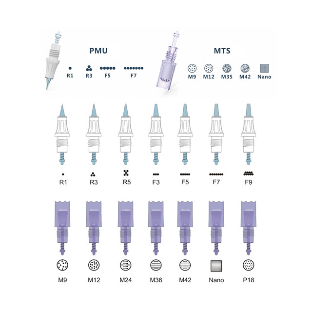 Tattoo Gun Permanent Makeup Tattoo Machine Electric Derma Pen V6 Artmex MTS PMU Eye Brow Lip