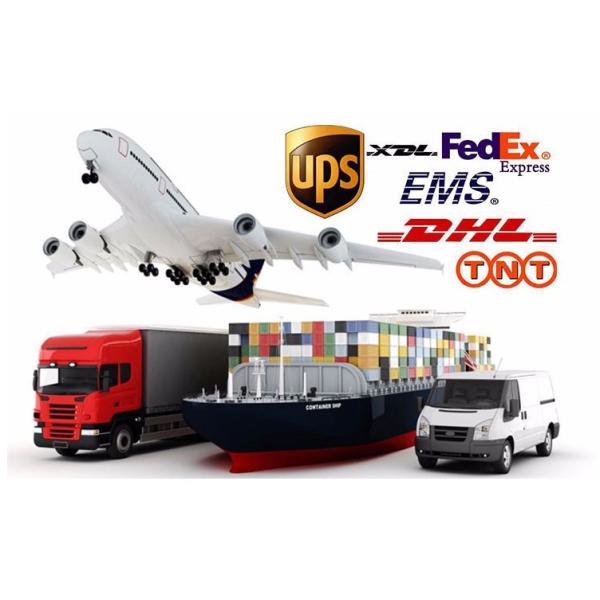 Non revêtement de papier jetable 100pcs de bâton 6 pouces pour la friteuse d'air