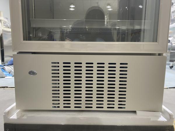 316 Liters Upright Pharmacy Medical Refrigerator For Vaccine Storage Hospital Equipment
