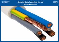 O baixo cabo do fumo com PVC a designação isolou/código: 60227 IEC 53 (International), RVVB 300/500v (China)
