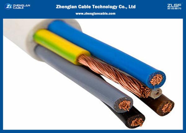 300/500V 450/750V PVC Insulated Copper Building Wire PVC Type ST5 Sheathed