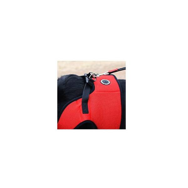 Adjustable Chest Belt Nylon Dog Harness soft