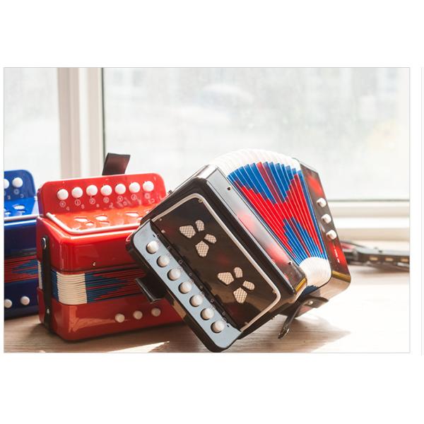 Small children accordion music early childhood educational aids baby show