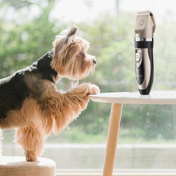 240V Pets Cats Dog Shaver Clippers Electric Quiet Hair Clippers Set