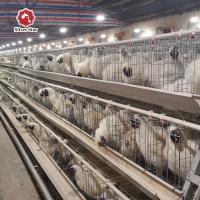 2000 oiseaux des cages par de cadre couche posent le GV d'équipement de volaille approuvé